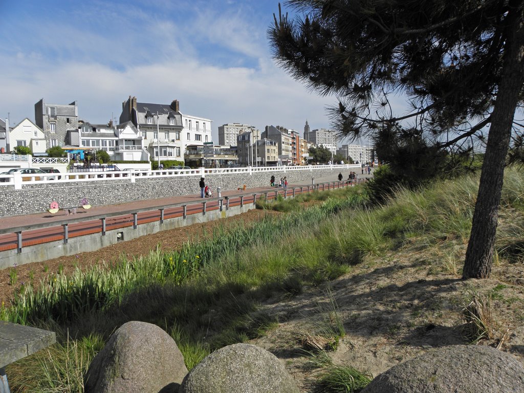 Jardins de la plage du Havre by Eric Bajart