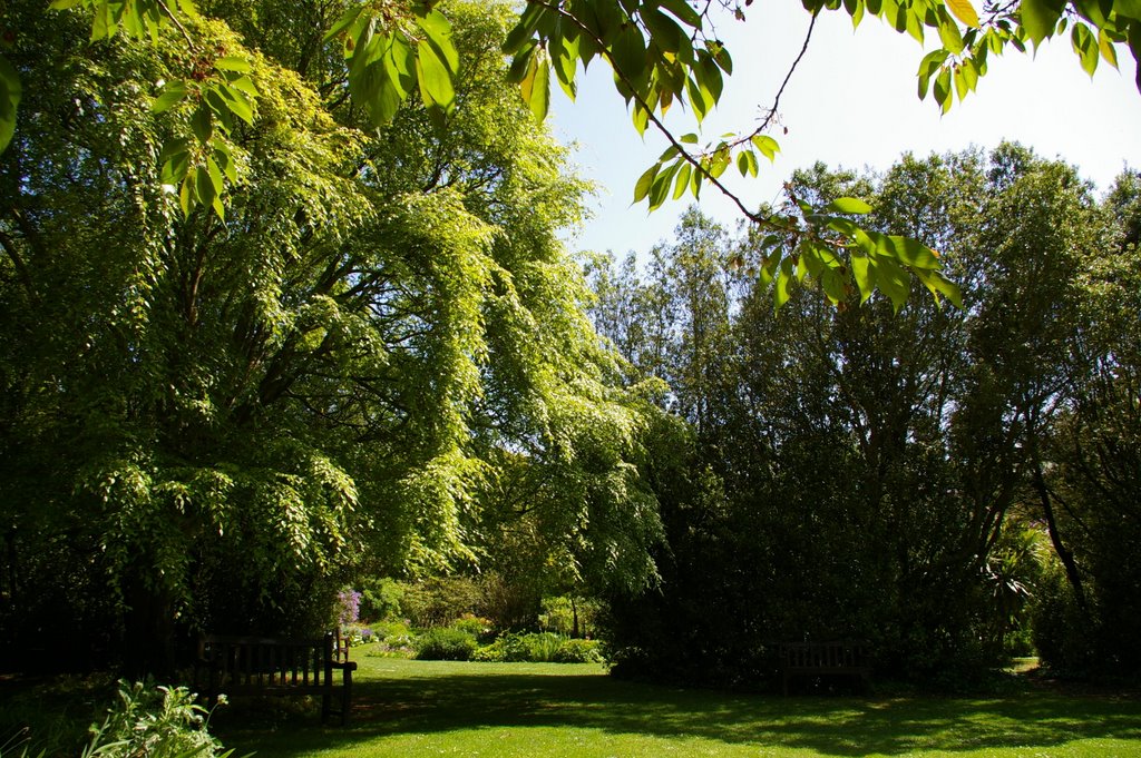 Highdown Gardens (Sussex) - Tree Planted by HM. Queen Mary in 1937 by Guy de Valk