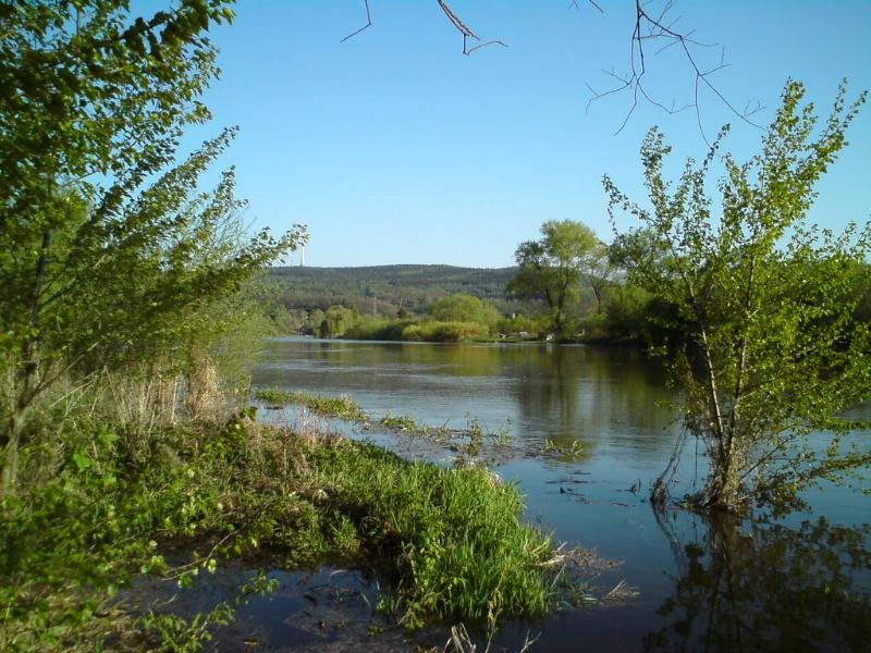 Černošice, Berounka river by cjirka