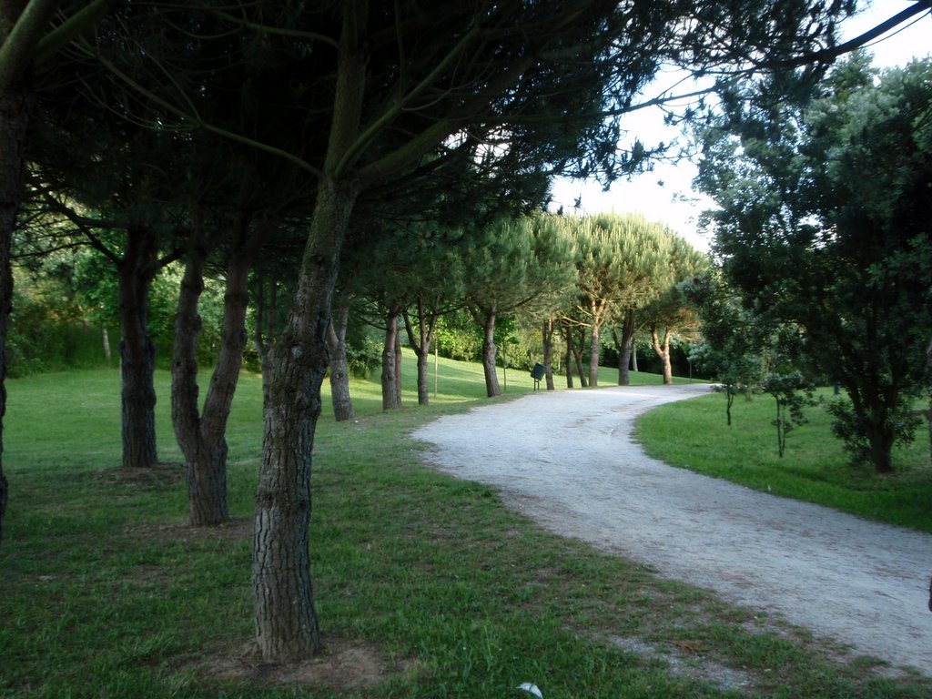 Porto,Parque da Cidade by Guizel