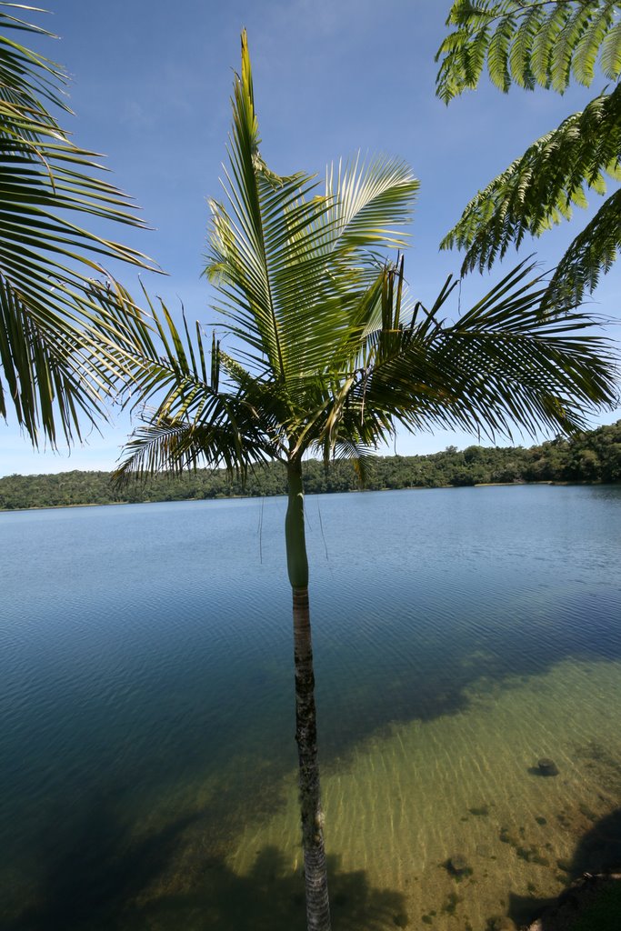 Lake Barrine by DW1501