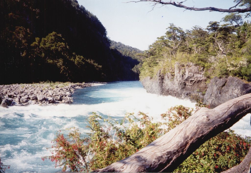 Saltos de Petrohué, X Región, Chile. by André Bonacin