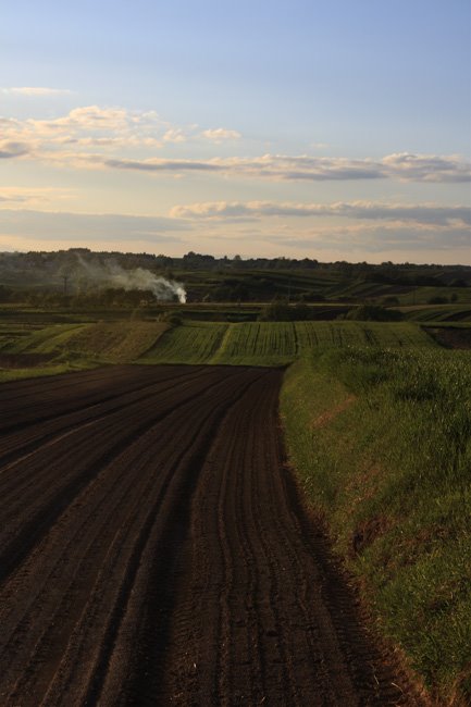 Fields near Krakow by mikepi