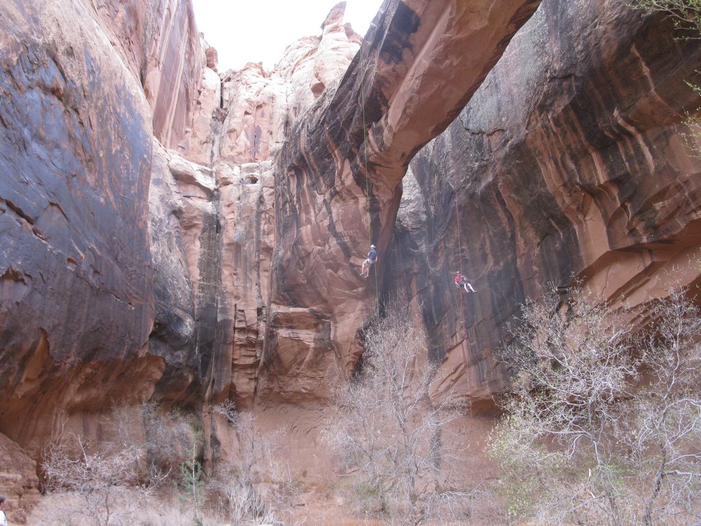 Nate and Toby doing a simultanious rappel off Morning Glory Arch by busterbluth52