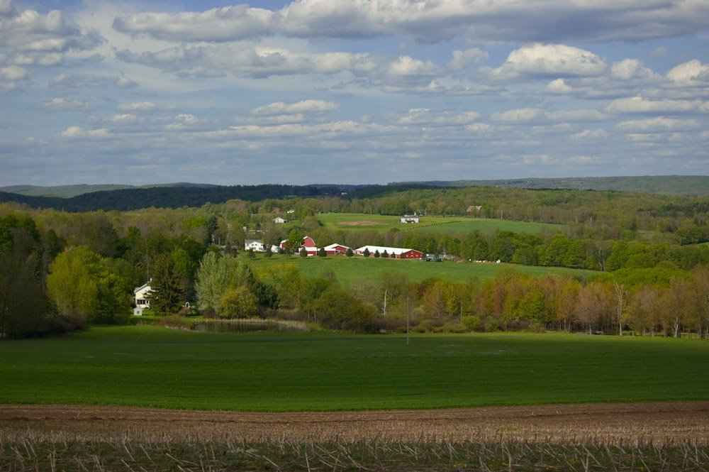 Union Hill farmland by Larry Lamb