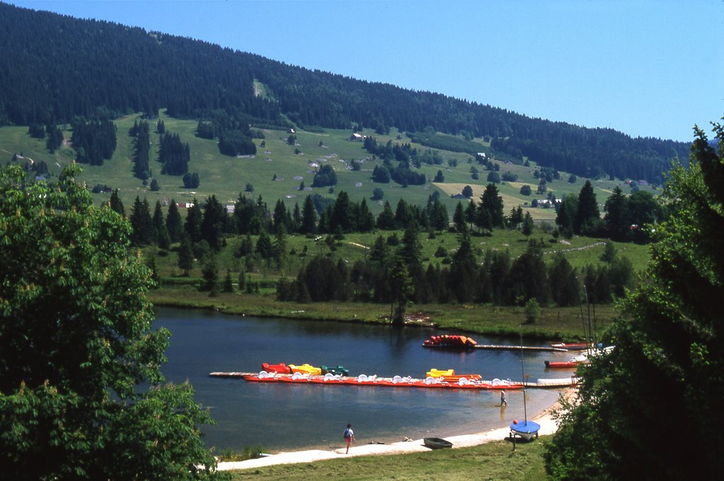 Lac des Rousses en été by Alain TREBOZ