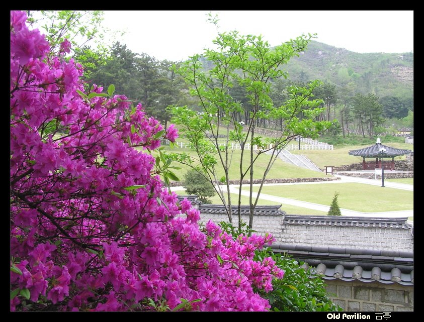 Garak-ro, Gimhae-si, Gyeongsangnam-do, South Korea by oldpavilion