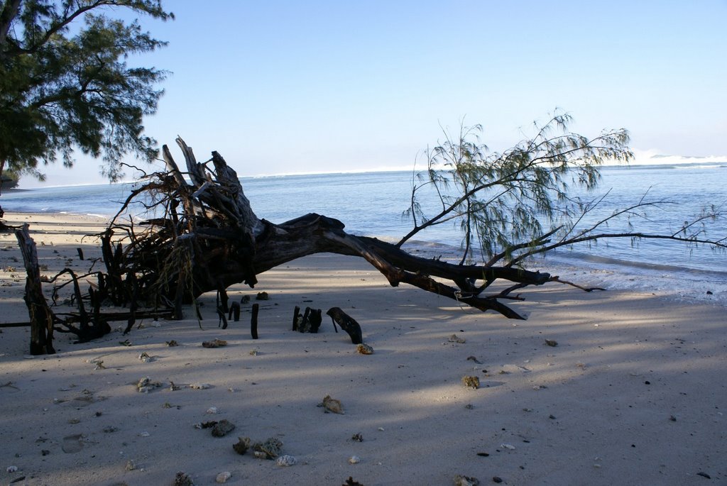 La-Réunion_Lagon-Hermitage_après-la-vague_052007_5 by philippe mathieu