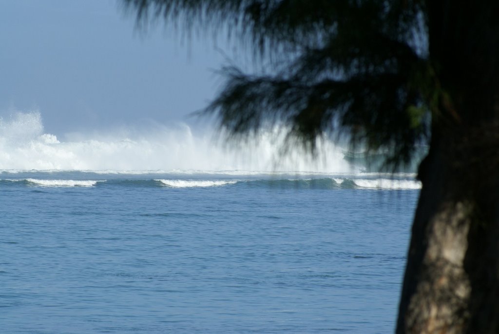 La-Réunion_Le-Lagon_052007_4 by philippe mathieu