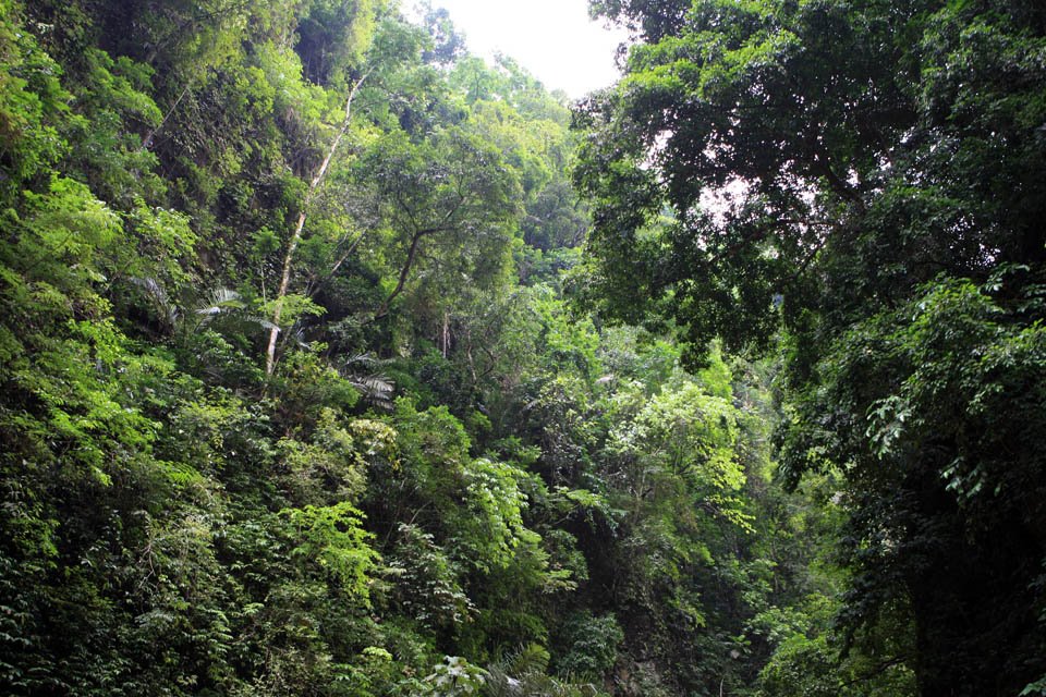 Pagsanjan Falls, Philippines by Richard Lozin