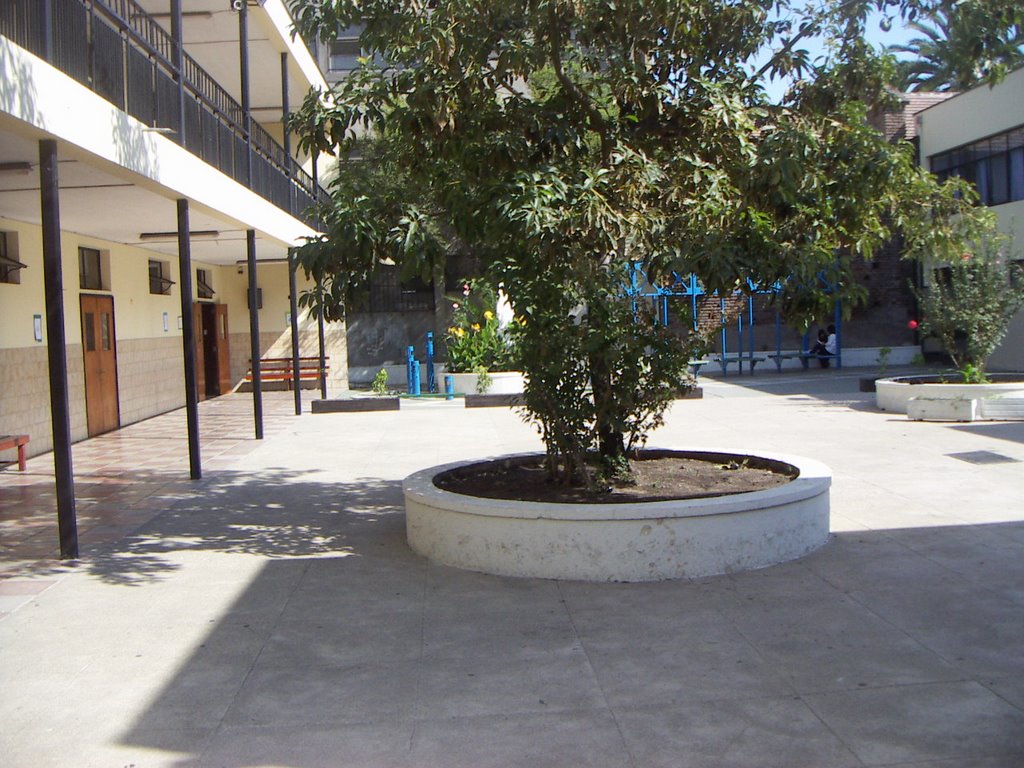 Patio - Colegio Parroquial San Miguel by jdiazval