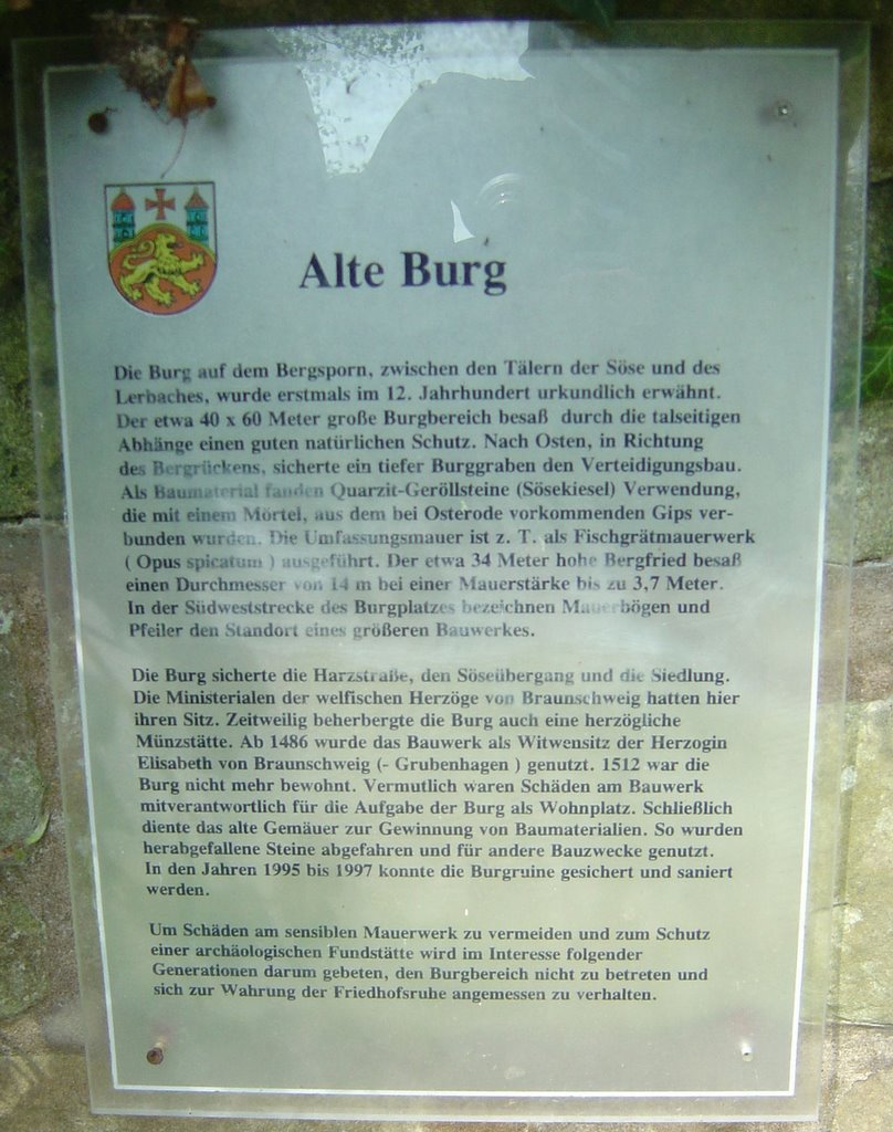 "Alte Burg" - Infotafel by Thomas Haseloff