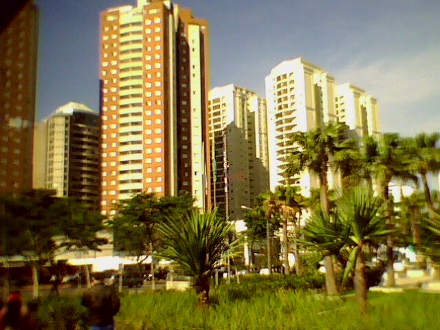 PRAÇA DO POMBO. AVENIDA IBIRAPUERA. SÃO PAULO - SP. by JOSÉ MARIA OLIVEIRA (ZECA)