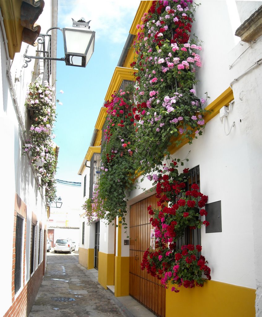 Rejas y Balcones by José Mariscal