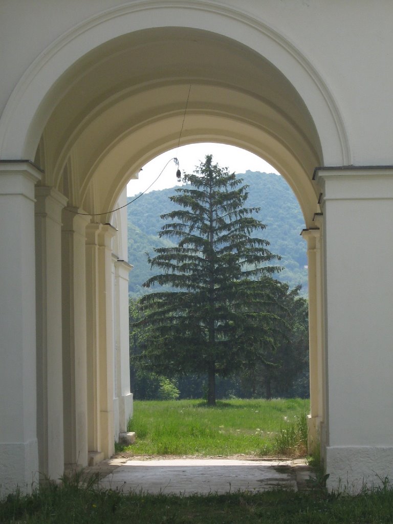 Bajna, Hungary by Fórián Ferenc