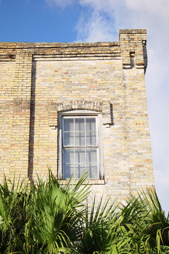 1903 Feaster building, Micanopy (1-2009) by Ken Badgley