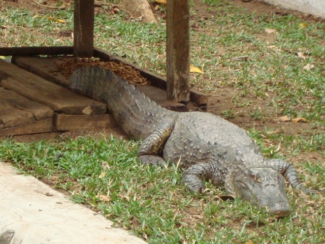 Zoologico en El Asintal by HEAL