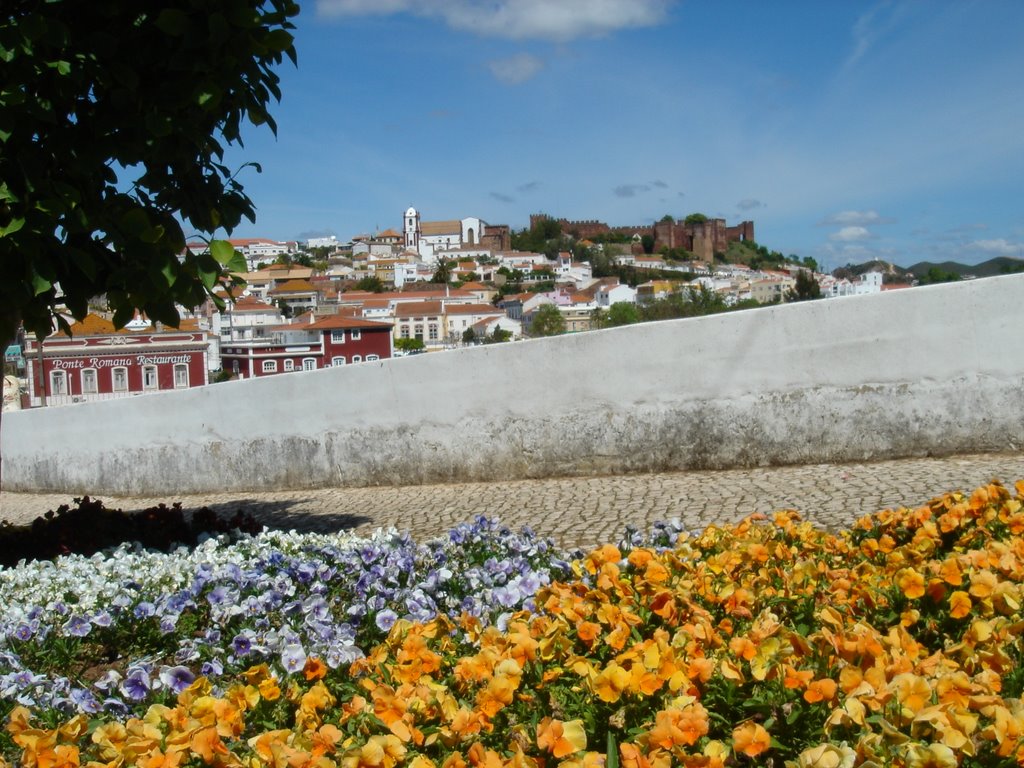 Silves con flores by DaniMartínez