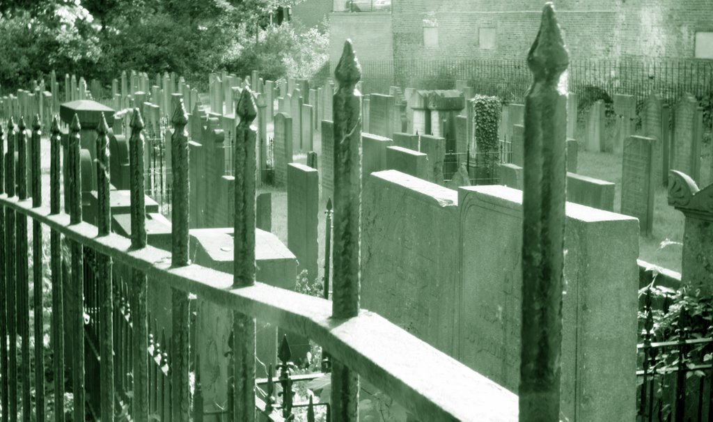 Wageningen(NL) Jewish Cemetery(1668) by Friedrich85