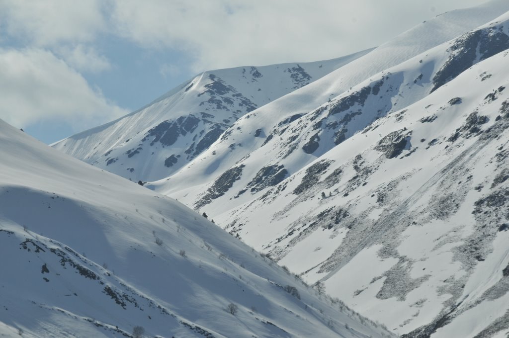 Andorra, paissatge de primavera by pere domingo