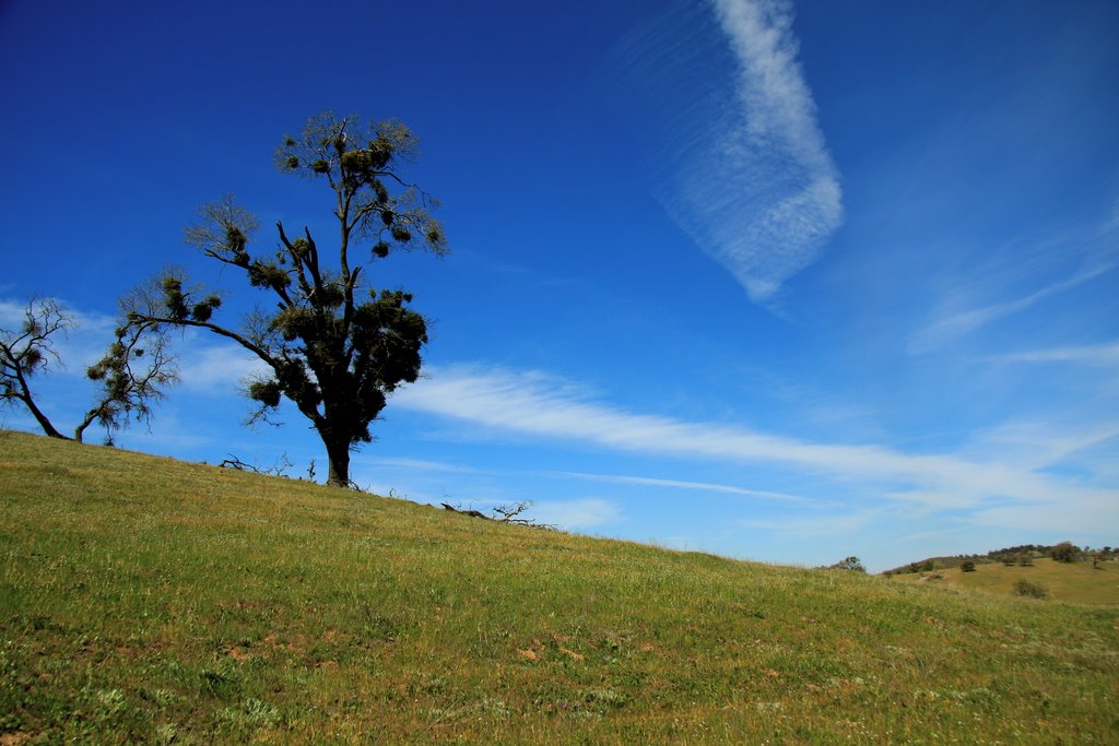 Upper Santa Ysabel Open Space Preserve by VinceAndCaroline