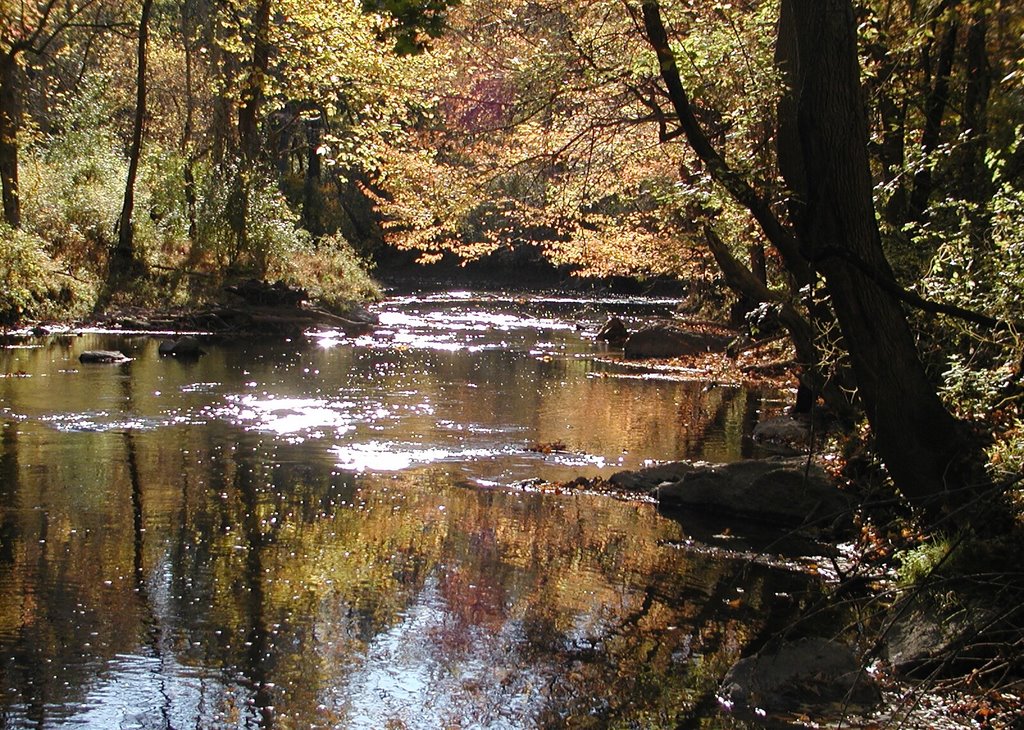 White Clay Creek in the Fall by Colin Williford