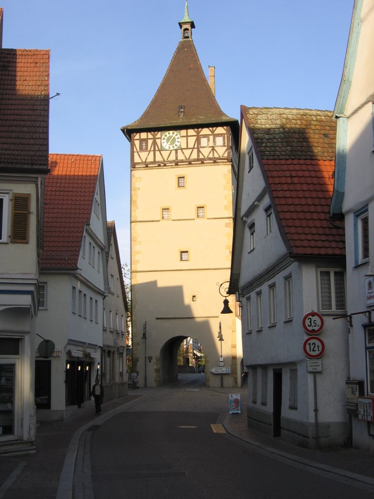 Gate to City Waiblingen by seedabird