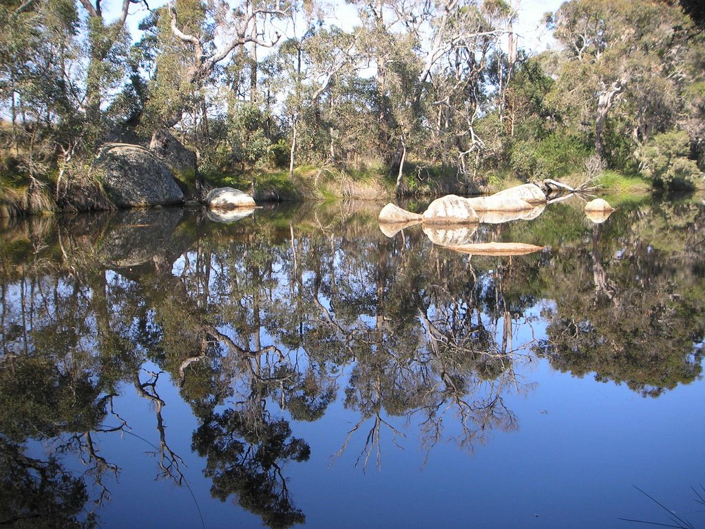 Reflection at King River (2) by sugarbag1