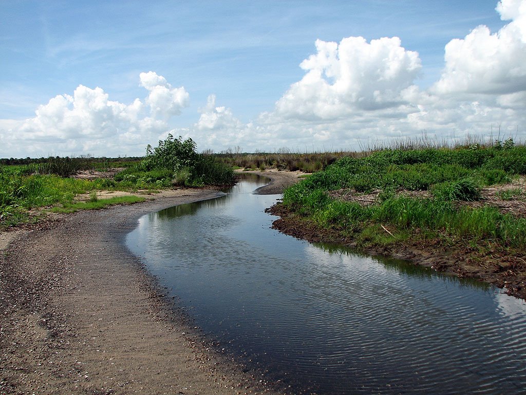 Waterway Between Lakes by Tom Choma