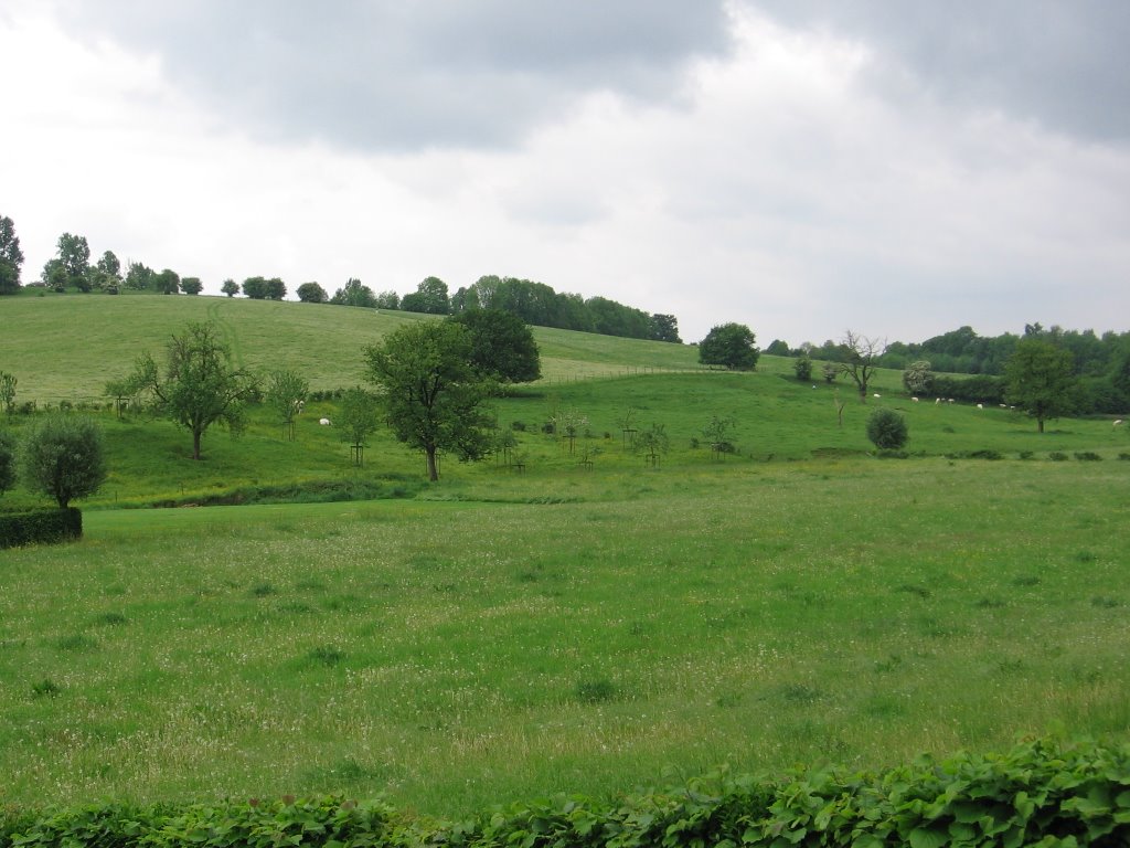 Weg op Altembroek by Geert Renckens, Alken