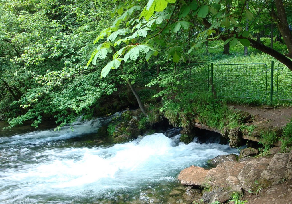 Vrelo Bosne by Delalic Hamo