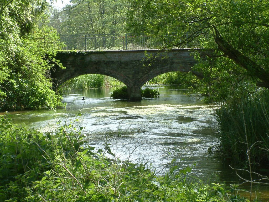 Thetford, Norfolk, UK: Nunnery Lakes Nature Reserve: British Trust for Ornithology, Little Ouse River Bridge by Graham Martin