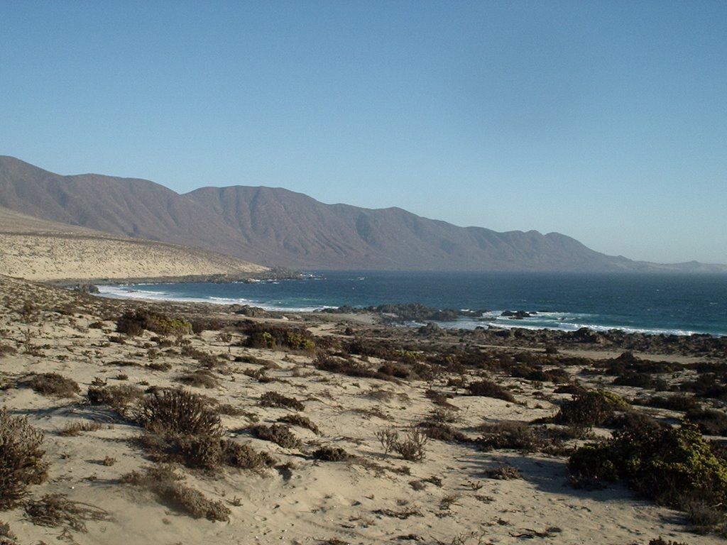 Playa Brava by Fernanda Rojas March…