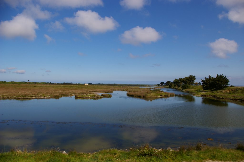 Ile de Noirmoutier by jerome.b