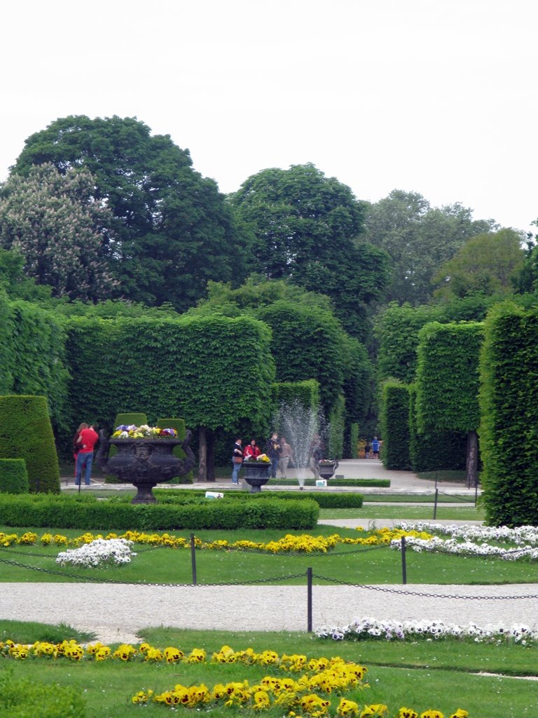 Backyard of Schönnbrunn by Mert Toka