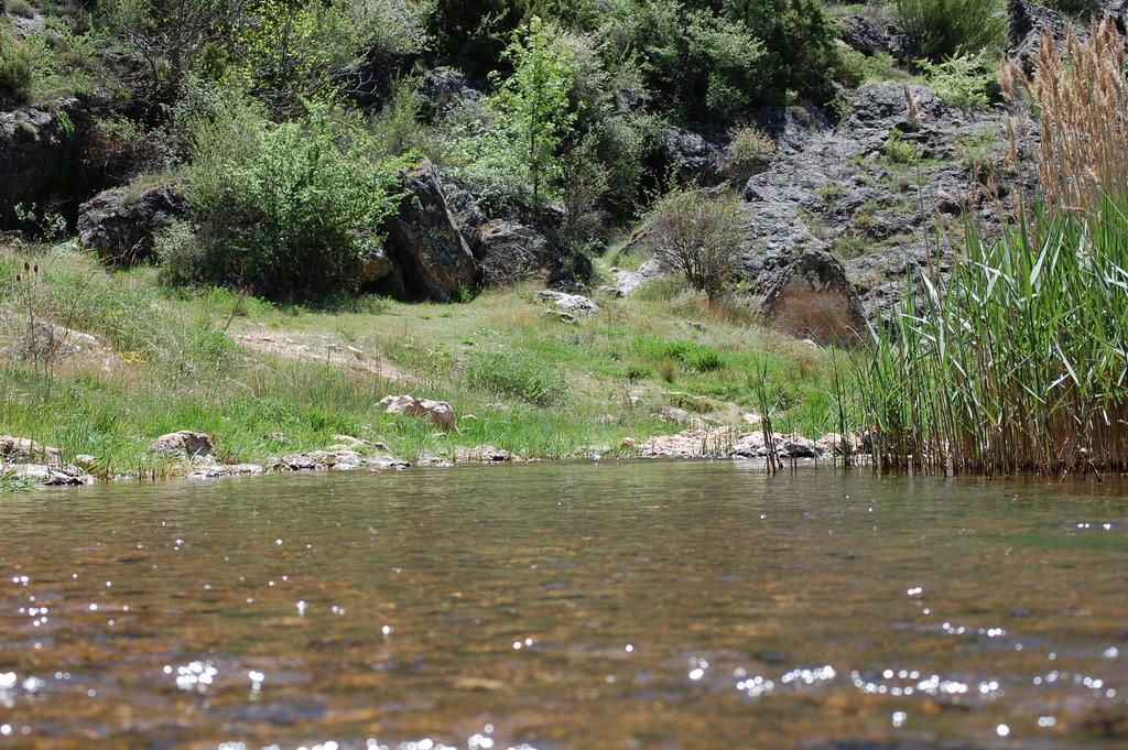 Rio Salado by José Ibáñez