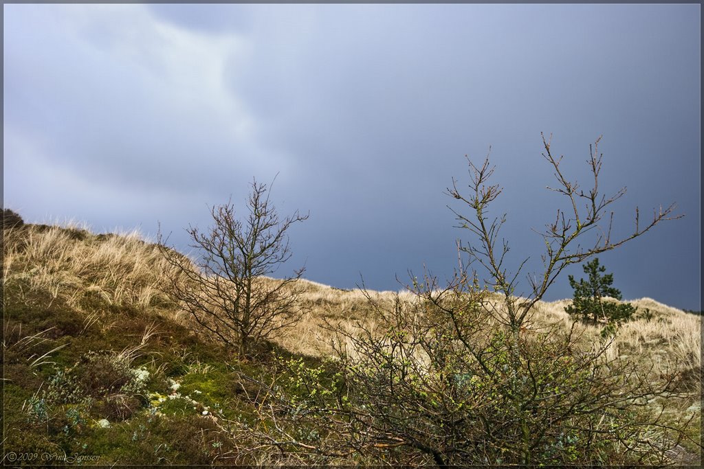 Goodbye rain #2, "Koegelwieck", Terschelling by Wim Janssen