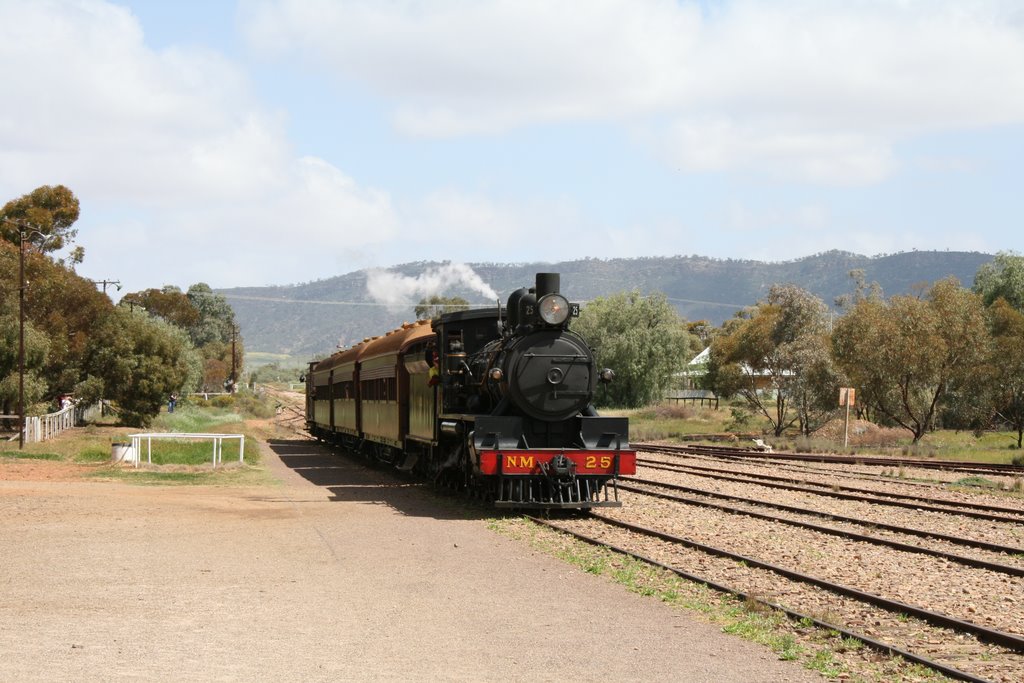 Steam engine puffs into Quorn Station, South Australia by coggla