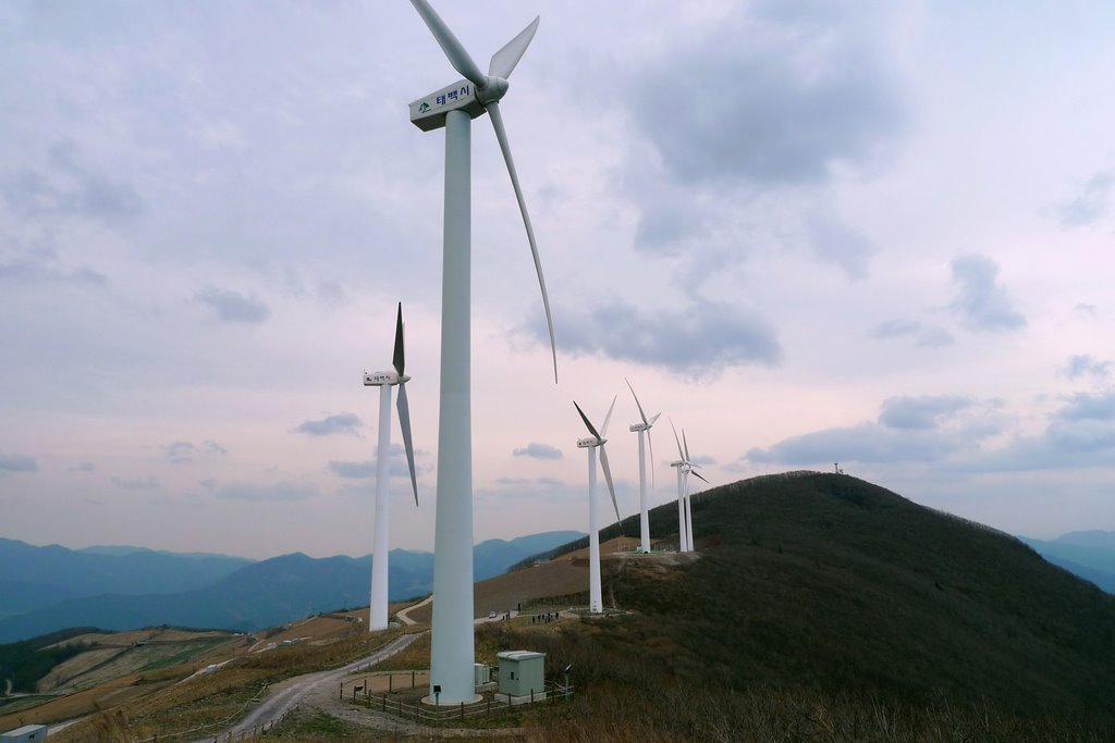 매봉산(每峰山) 풍력발전단지(風力發電團地) - 태백(太白) by 오남수, 吳南洙, oh namsoo