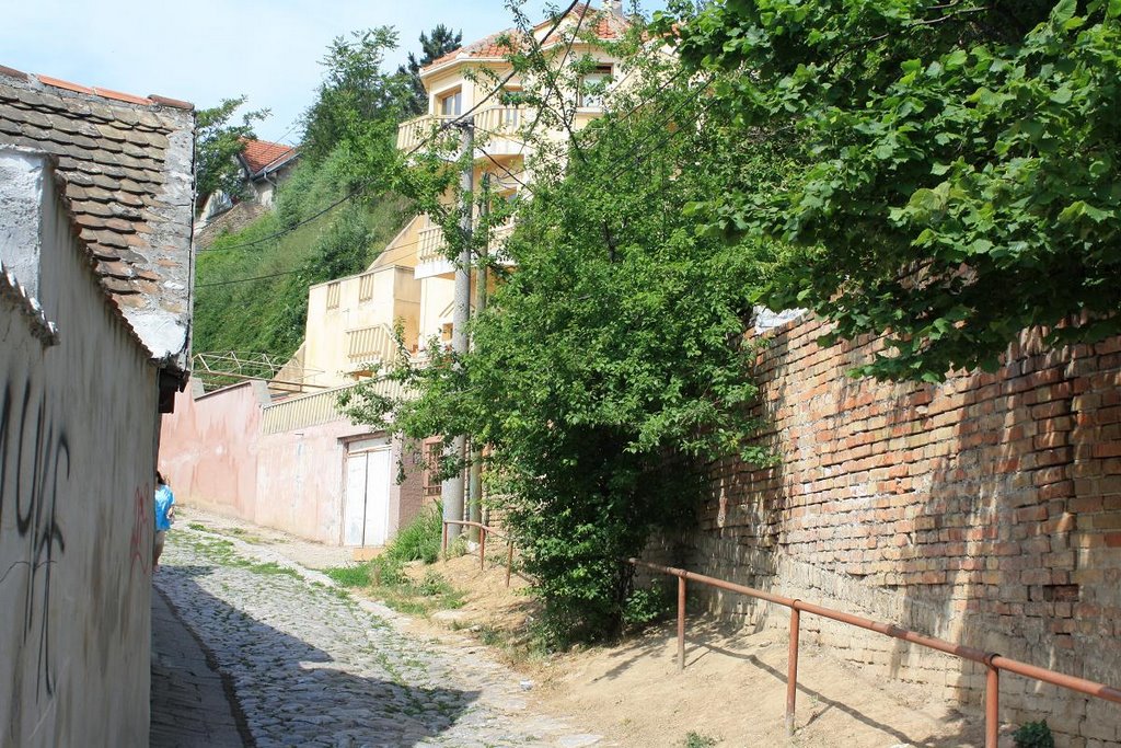 Uphill Along Old And New Homes * T-leon May2009 by Miroslav Trbović