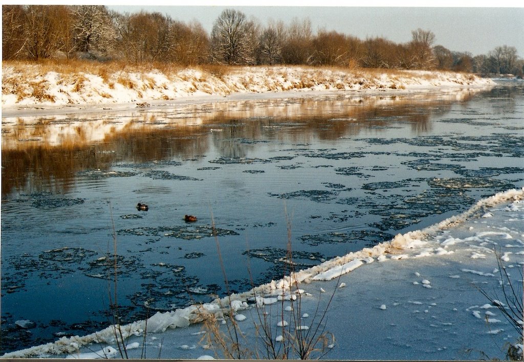 Odra zimą... by pats12