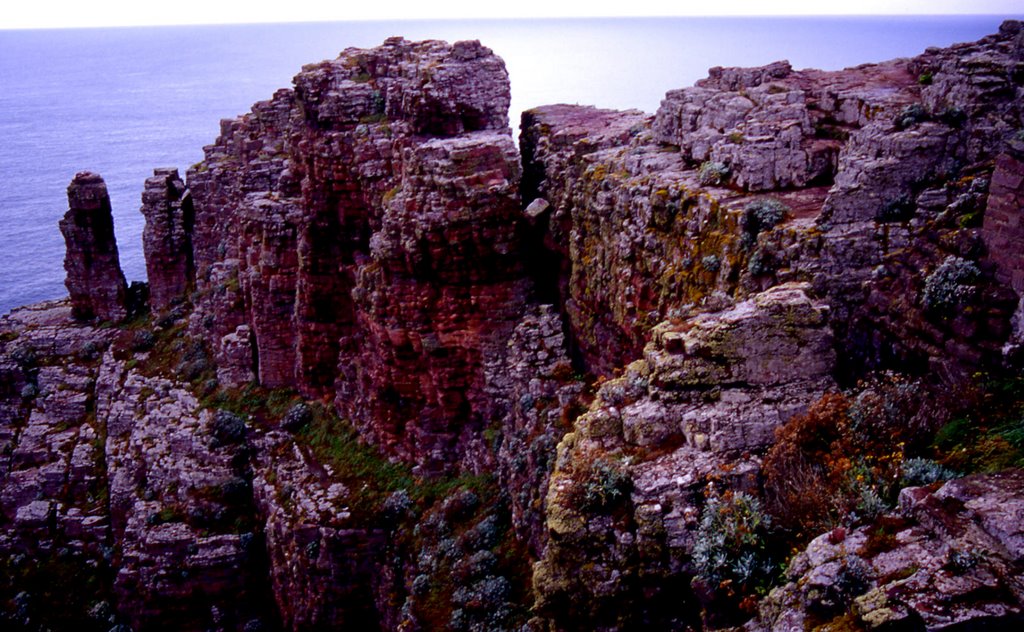 Scogliera di Cap Fréhe by Andrea Santilli