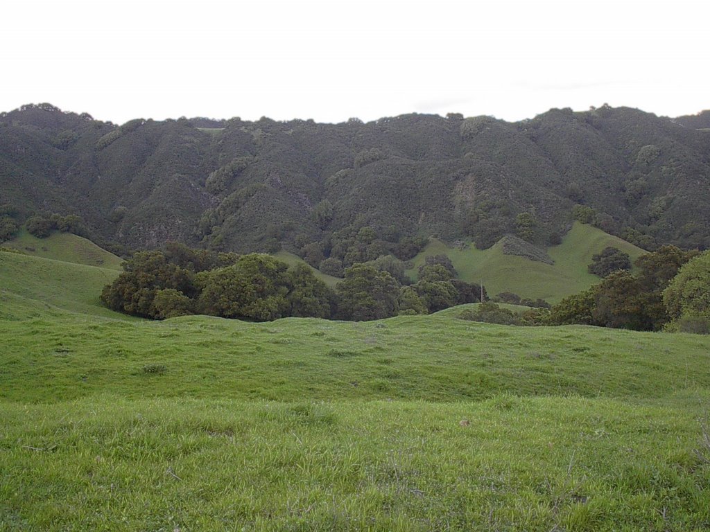 Las Trampas Regional Wilderness 4-8-09 by disappointed13