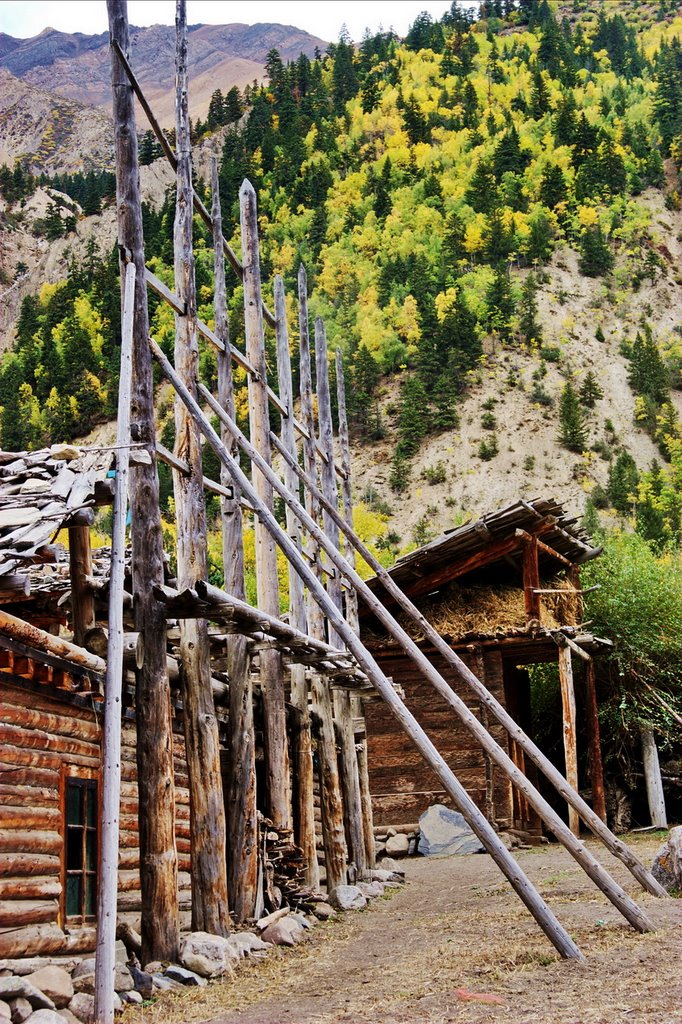 Bowo, Nyingchi, Tibet, China by zhouxin