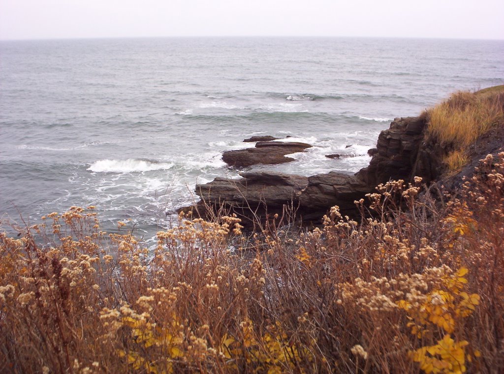 The Ocean From New Port. Nov. 2007 by stephen.moss