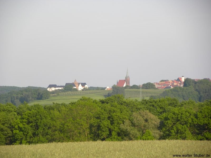 Tümmlitzwalde, Blick auf die Bergstadt Leisnig by Walter Stuber