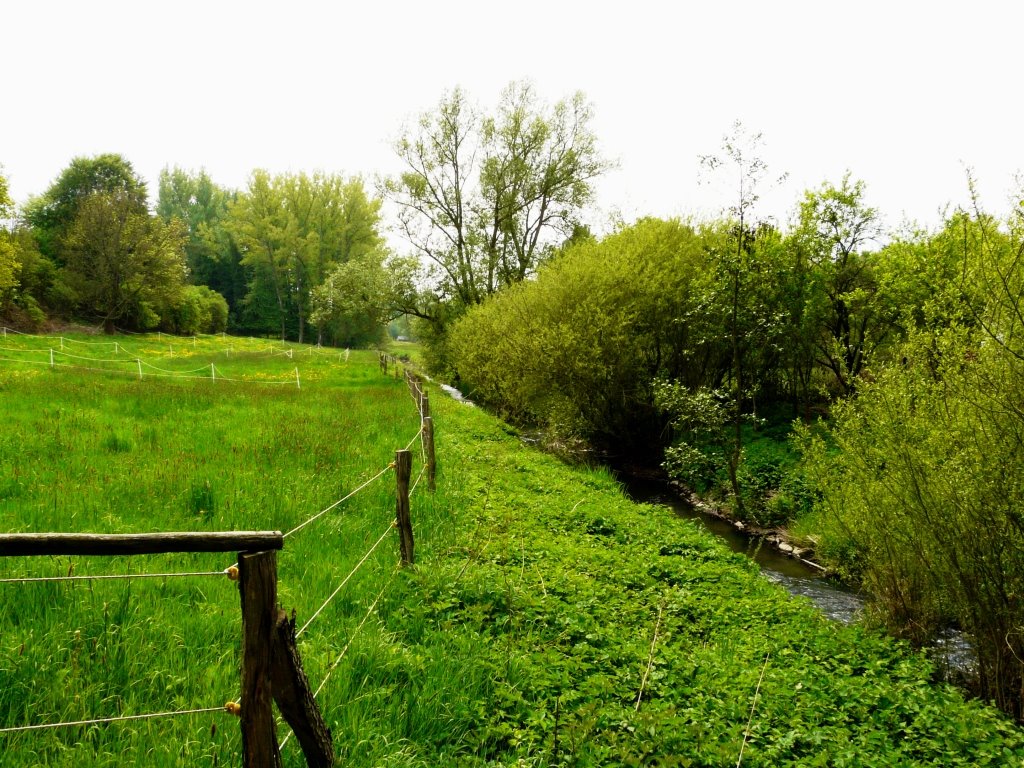 An der Zwester-Ohm in Hachborn by Susanne Rommel