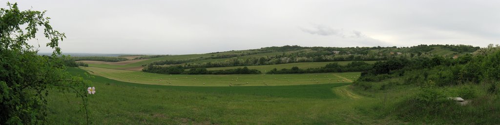 Dunaszentmiklósi panoráma - Panorama near Dunaszentmiklós by Atti