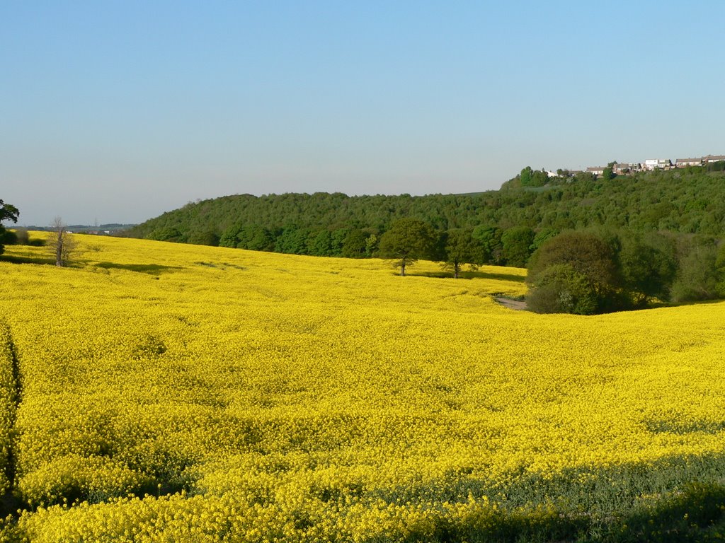 Coxley valley 2008 by andy colley