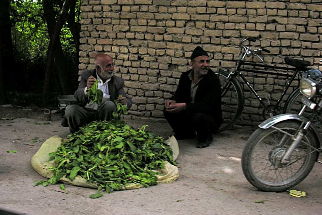 Happy Guys, Isfahan by Petr Kraumann